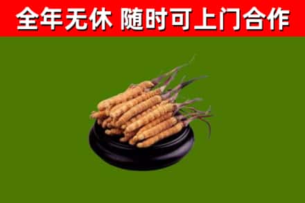 十堰烟酒回收冬虫夏草.jpg