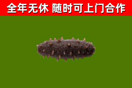 十堰烟酒回收干海参.jpg